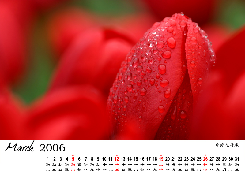 ./MyViews/Calendar/2006/03_SMALL.JPG