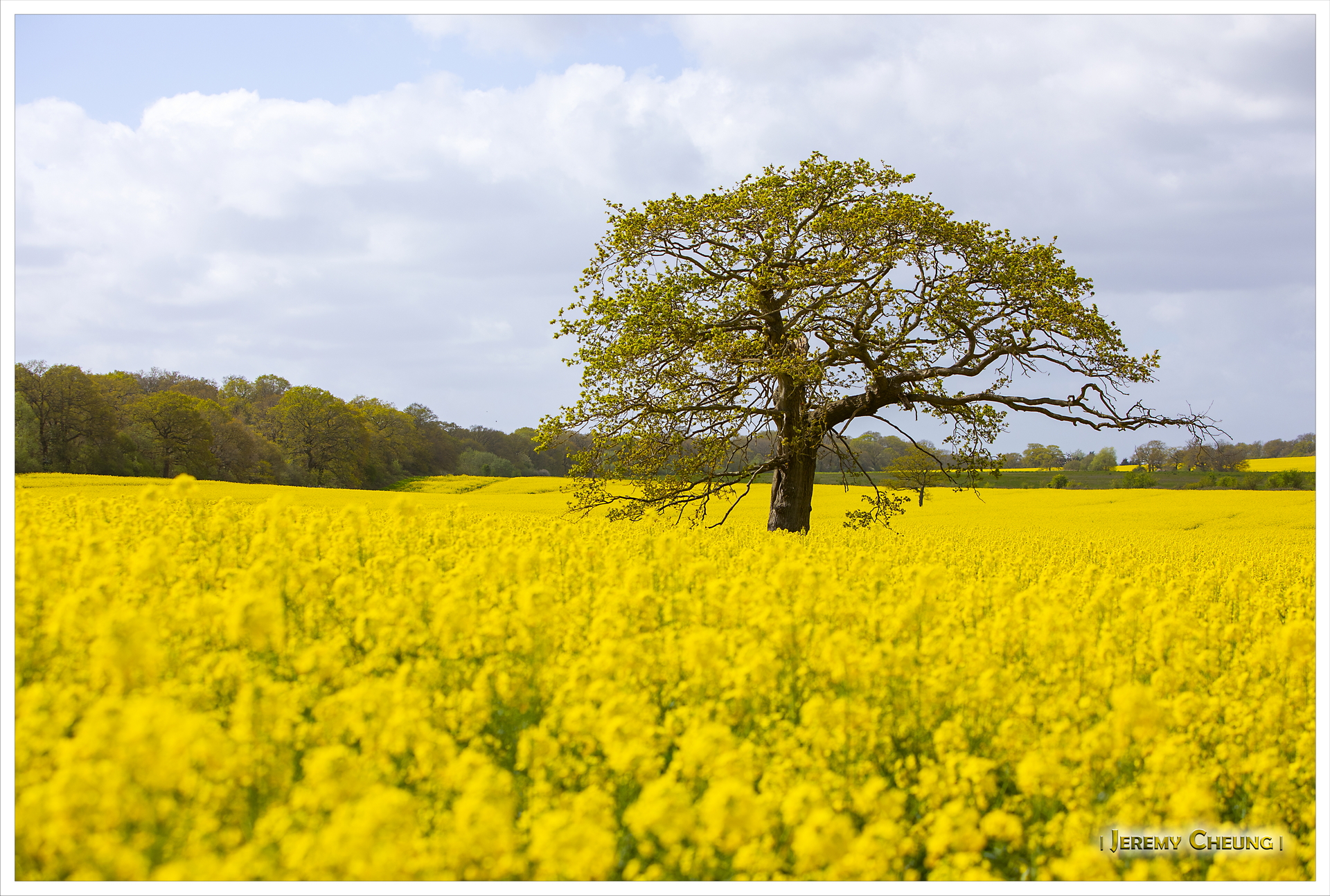 EpsomCommon